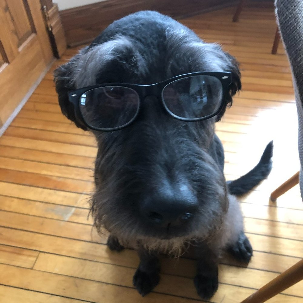 Meet your Posher, Benjamin